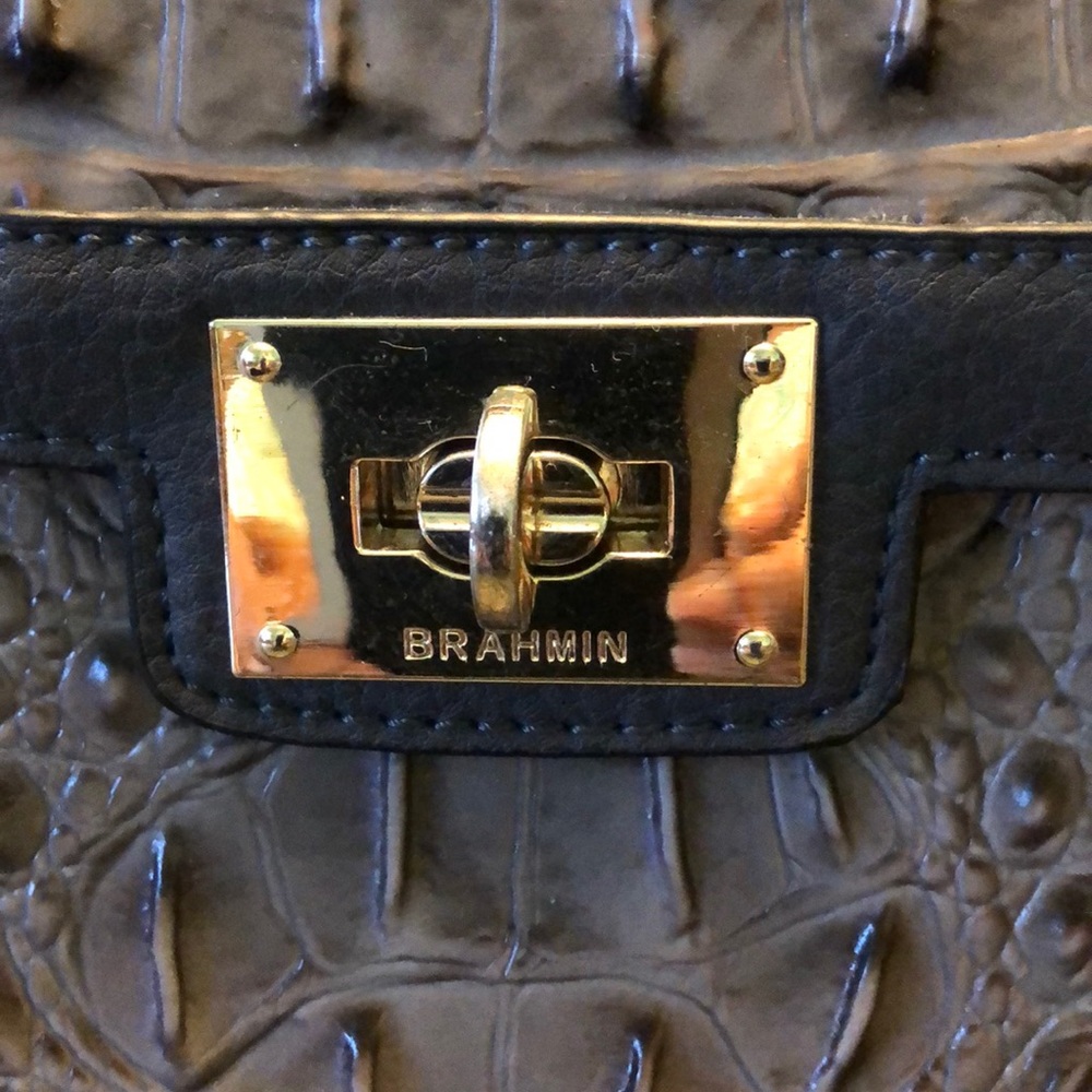 Brahmin Purse